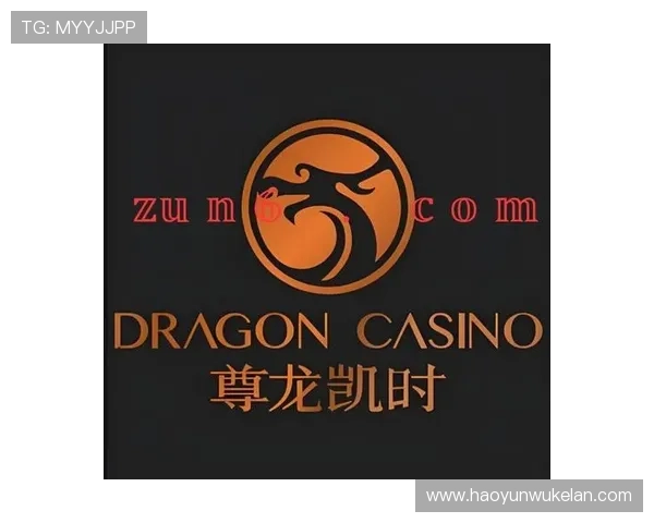 尊龙时凯人生官网登录入口提供最新登录指南与安全保障措施详解