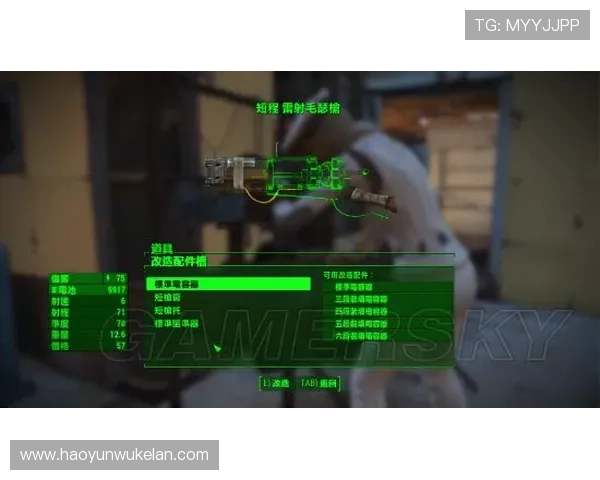 z6尊龙官网最新版本上线，全面解析游戏特色与玩法指南